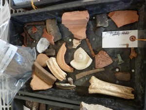 A typical finds tray