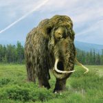 A Mammoth Adventure