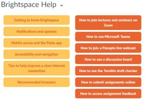 Brightspace Student Help Menu excerpt
