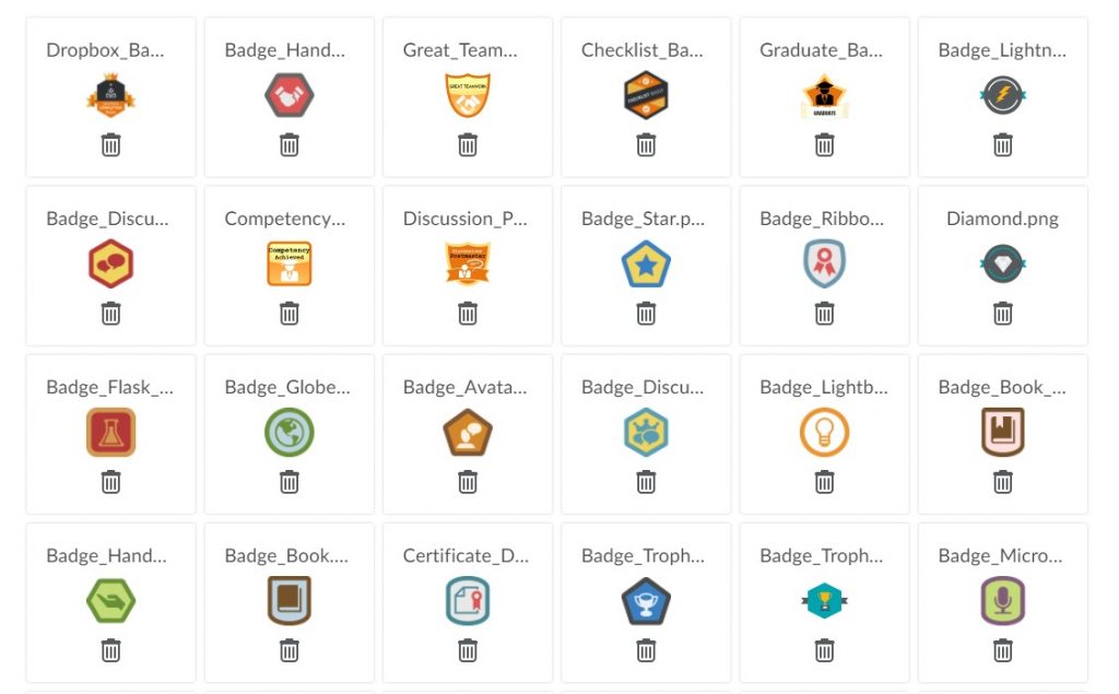 Centre for Fusion Learning Innovation and Excellence | Badges and ...