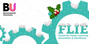 FLIE logo with holly and snow
