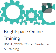 Brightspace Online Training link screen