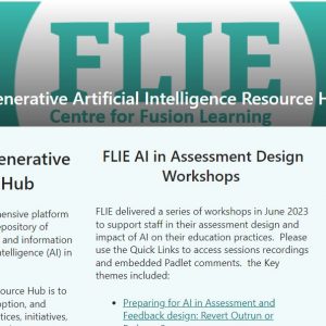 Screenshot of FLIE AI hub