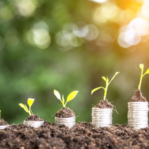 5 pots with seedling growing larger