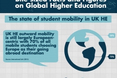 The state of student mobility in UK HE