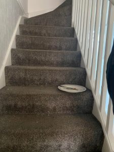 Stairs with a plate left on the second step