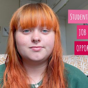 Pip and the words student ambassador job roles and opportunities
