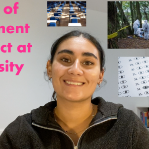 Types of assignments thumbnail