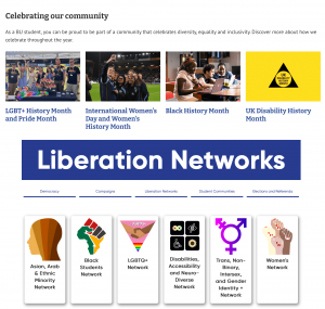 SUBU's Liberation Networks website screenshot