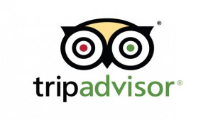 Tripadvisor-Logo-nw1